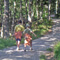 De camino al roblón De camino al roblón