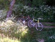Bicicletas en el entorno