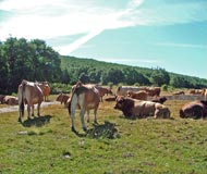 Alrededores del centro de turismo Océano Verde