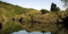 Paisaje de la zona Paisaje de la zona