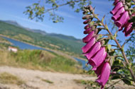 Alrededores del centro de turismo